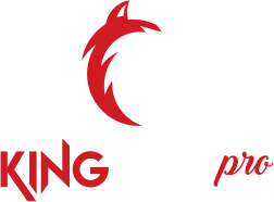 KING4KPLAYER Logo